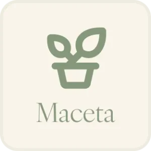 Maceta
