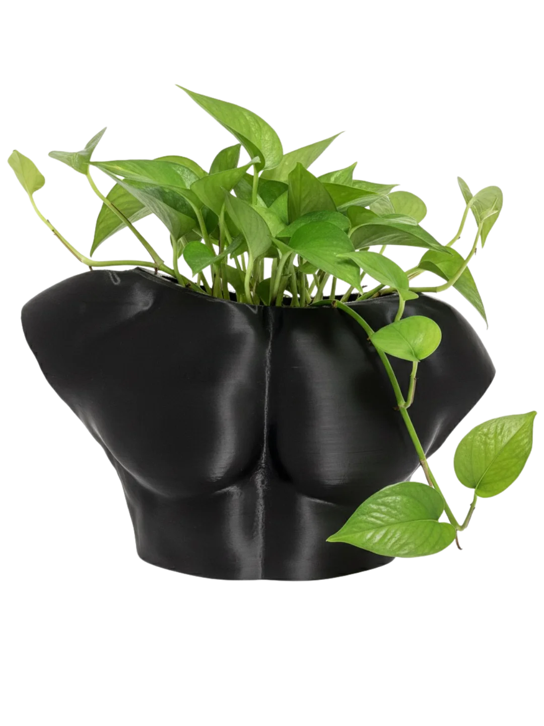 Male Vase