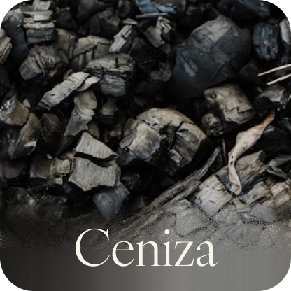 Ceniza
